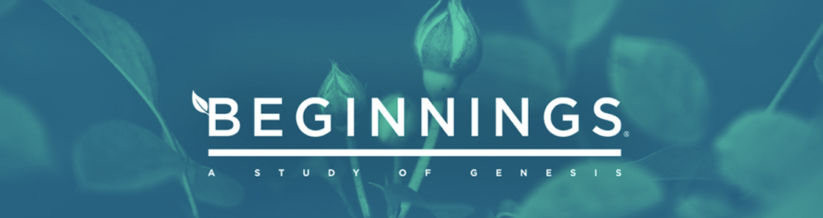 Bible Study Fellowship is Back!
