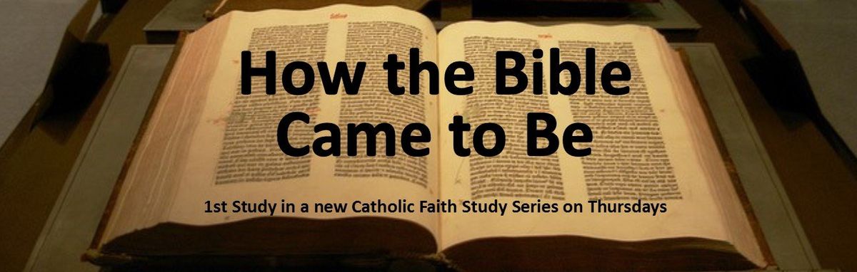 Catholic Faith Study Series