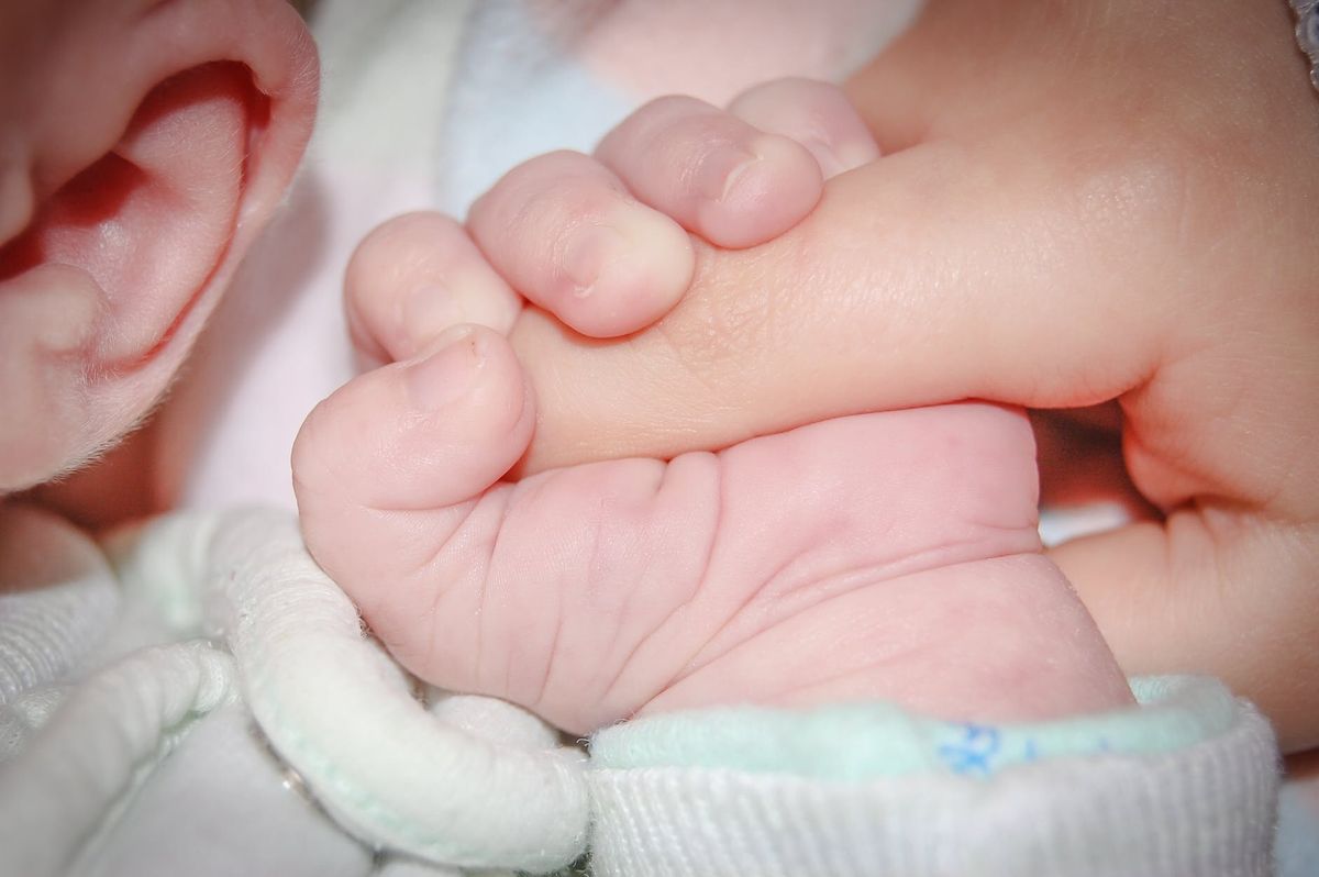 Houston Pregnancy Help Center Informational Session - Lunch &amp; Learn