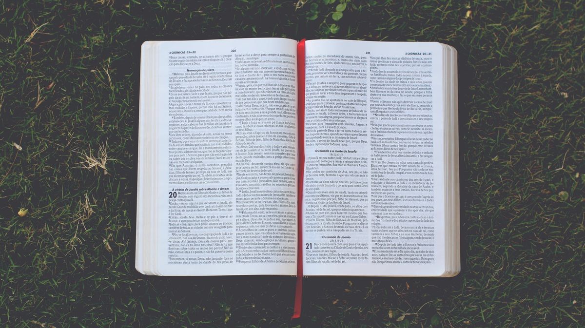 New Catholic Faith Study Beginning in February!